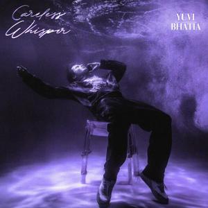 午夜婷婷狠一区二区
