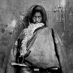 午夜婷婷狠一区二区
