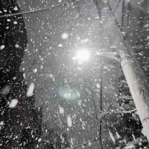 午夜婷婷狠一区二区
